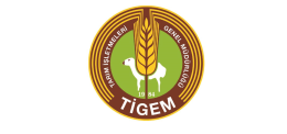 Tarım İşletmeleri Genel Müdürlüğü (TİGEM) Safkan Arap Koşu Tayı Satışı Yapıyor